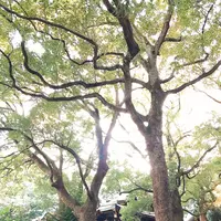 大宮八幡宮の写真・動画_image_100101