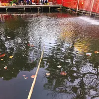 つり堀 武蔵野園の写真・動画_image_100112