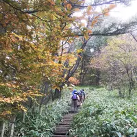 掃部ケ岳の写真・動画_image_100135