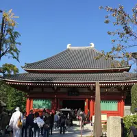 浅草寺の写真・動画_image_100148