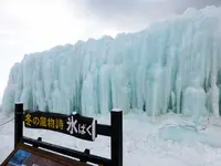 御在所岳樹氷の写真・動画_image_100164