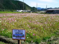 道の駅 あおがきの写真・動画_image_100284