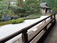 正伝永源院の写真・動画_image_100413