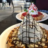 【閉業】Urth Caffe 表参道（アースカフェ）の写真・動画_image_100420
