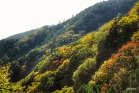 阿夫利神社駅の写真・動画_image_100463