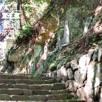 茶湯寺の写真・動画_image_100464