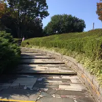 国営昭和記念公園の写真・動画_image_100511