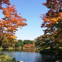 国営昭和記念公園の写真・動画_image_100514