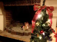 ロンギングハウスの写真・動画_image_100575