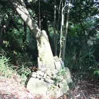 物見山の写真・動画_image_100601