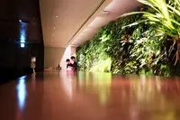 CoSTUME NATIONAL | WALLの写真・動画_image_100699