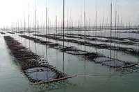 河内海岸の写真・動画_image_100720