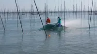 河内海岸の写真・動画_image_100721