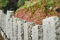 こま参道の写真・動画_image_100783