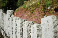 こま参道の写真・動画_image_100784