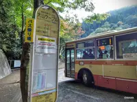 大山ケーブルカーの写真・動画_image_100798