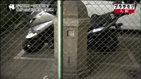 西横堀の写真・動画_image_100997