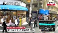 メガネのカツラの写真・動画_image_101055