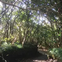 三原山の写真・動画_image_101246