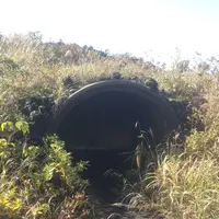三原山の写真・動画_image_101247