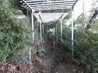 駒込富士神社の写真・動画_image_101277