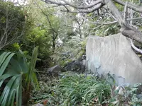 駒込富士神社の写真・動画_image_101281