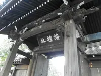 吉祥寺の写真・動画_image_101290