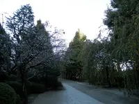 吉祥寺の写真・動画_image_101291