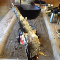 いわやの写真・動画_image_101306