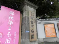 旧古河庭園の写真・動画_image_101334
