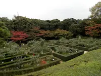 旧古河庭園の写真・動画_image_101336