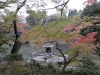 旧古河庭園の写真・動画_image_101367