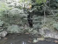 旧古河庭園の写真・動画_image_101369