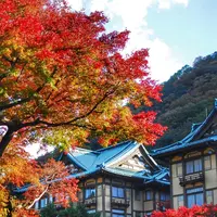 富士屋ホテルの写真・動画_image_101459