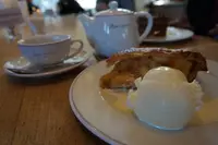 ペーパームーンの写真・動画_image_101505