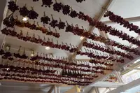 ペーパームーンの写真・動画_image_101506