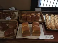 共楽園・林檎の樹の写真・動画_image_101514