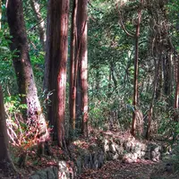 新田塚の写真・動画_image_101522