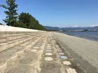 潮干狩り（形原海岸）の写真・動画_image_101526
