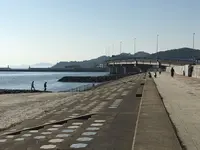 潮干狩り（形原海岸）の写真・動画_image_101527