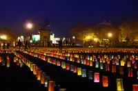 菊池市民広場の写真・動画_image_101570