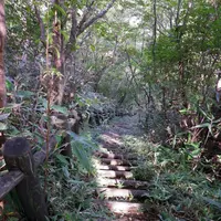 冠ケ岳の写真・動画_image_101606