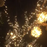 スターバックスコーヒー 東急プラザ表参道原宿店（STARBUCKS COFFEE）の写真・動画_image_101892