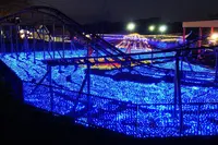 東京ドイツ村の写真・動画_image_101918