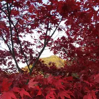 北杜市役所 増富温泉峡観光案内所の写真・動画_image_101952