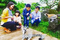 伊豆シャボテン動物公園の写真・動画_image_102172