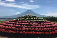 大石公園の写真・動画_image_102177