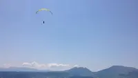 大観峰の写真・動画_image_102181