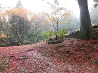 御嶽山 播州清水寺の写真・動画_image_102218