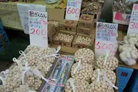千代保稲荷神社の写真・動画_image_102268
